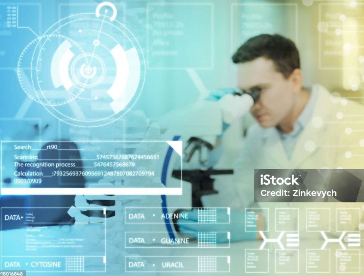 人工智能在医疗诊断中的应用研究